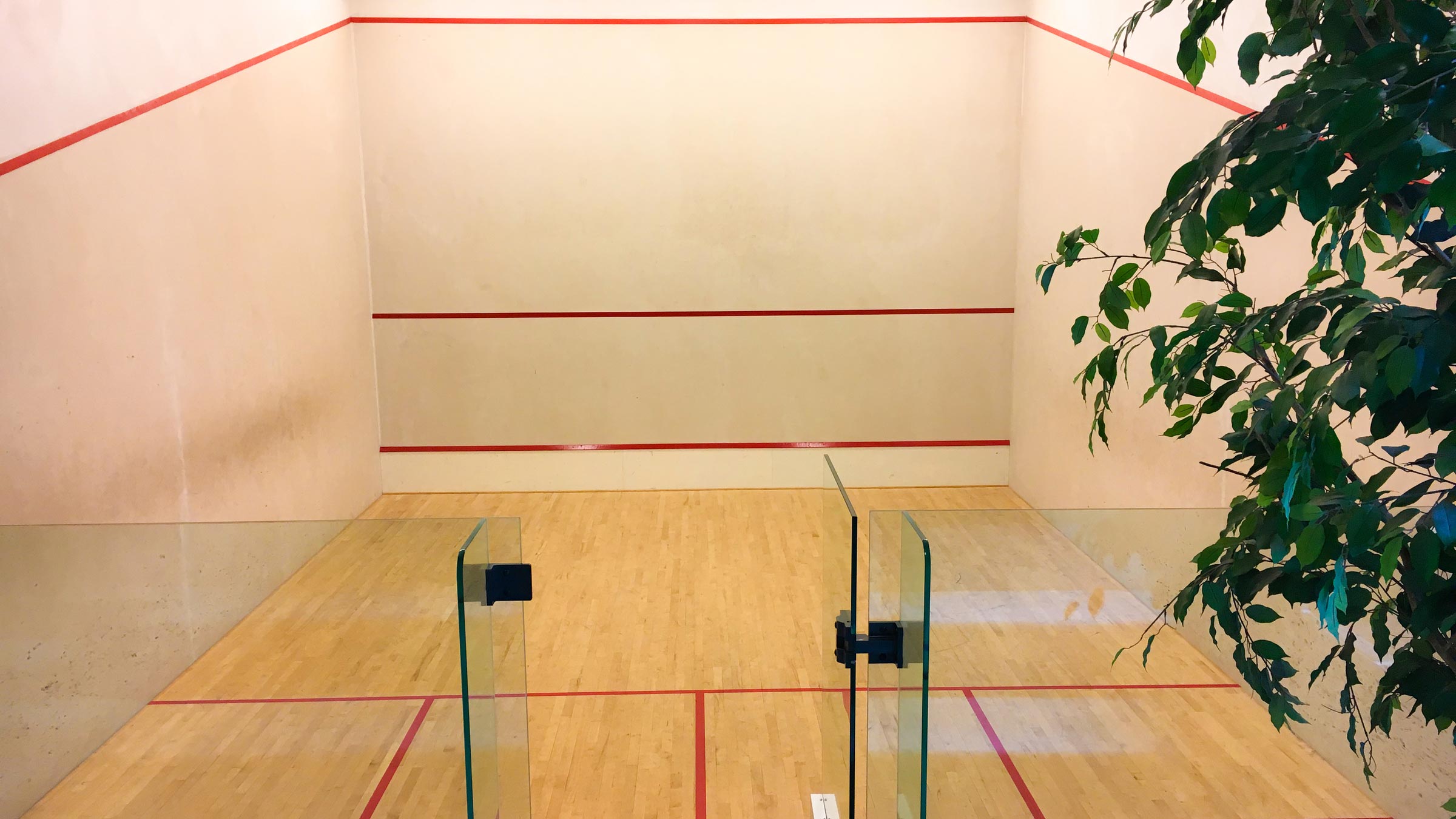 Squashbaan