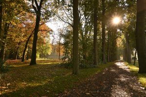 Ontdek de mooiste wandelroutes tijdens de herfst 6 DSC4207