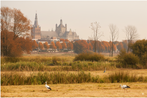 Ontdek de mooiste wandelroutes tijdens de herfst 1 Generated Image September 18 2025 10 36AM