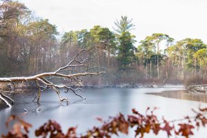 Ontdek de mooiste wandelroutes tijdens de herfst 4 Najaar Oisterwijkse Bossen en Vennen winter 2021